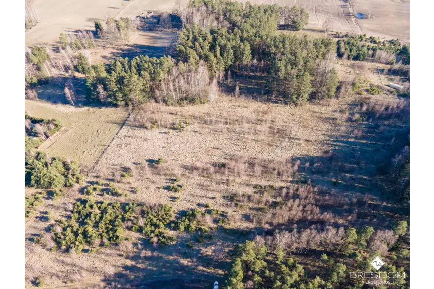 olsztyński, Olsztynek, Marózek, Działki nad jeziorem Maróz